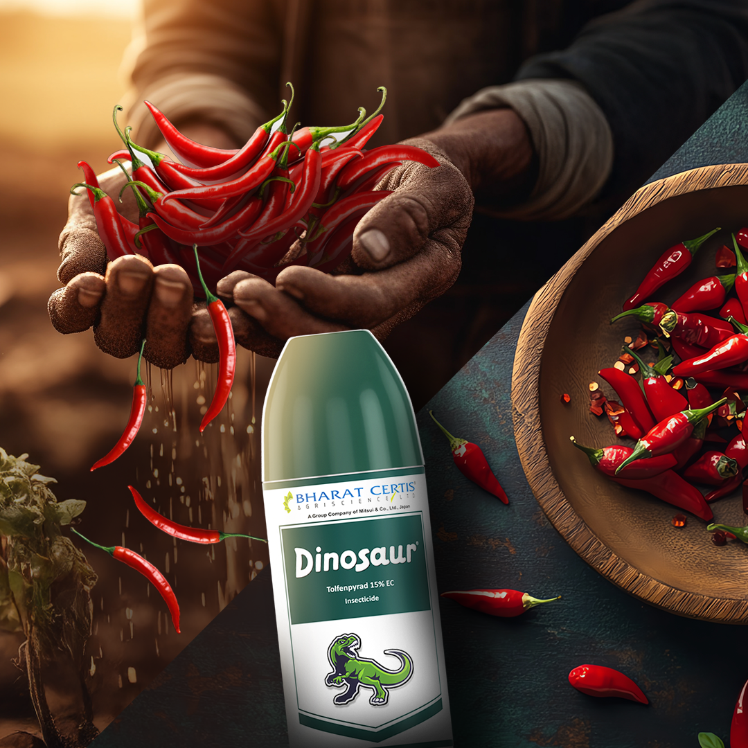 Chili Dinosaur Farming